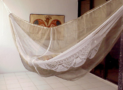 hammock with mosquito net